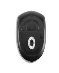 Computer Mouse - Wired USB