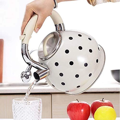 Kettle Teapot - Stainless Steel Whistle