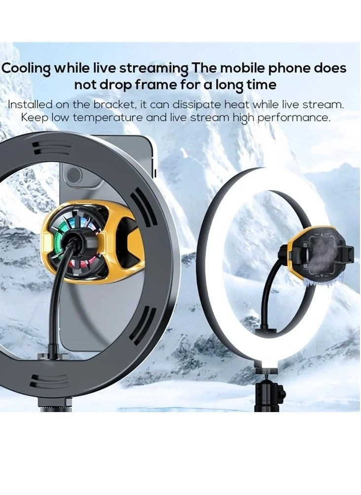 DL22 - Mobile Phone Cooler USB Clip-On