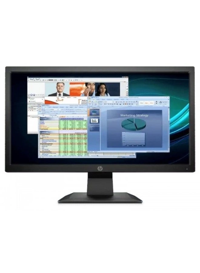 P204v - 19.5" 1600 x 900