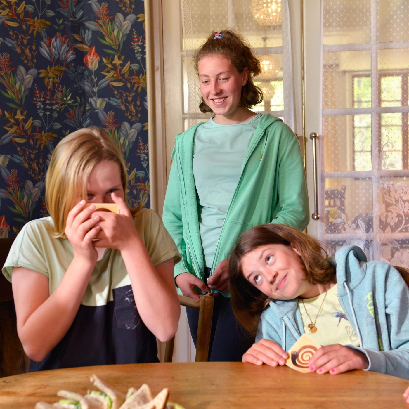 The Werewolves of Miller's Hollow - Ages 10+