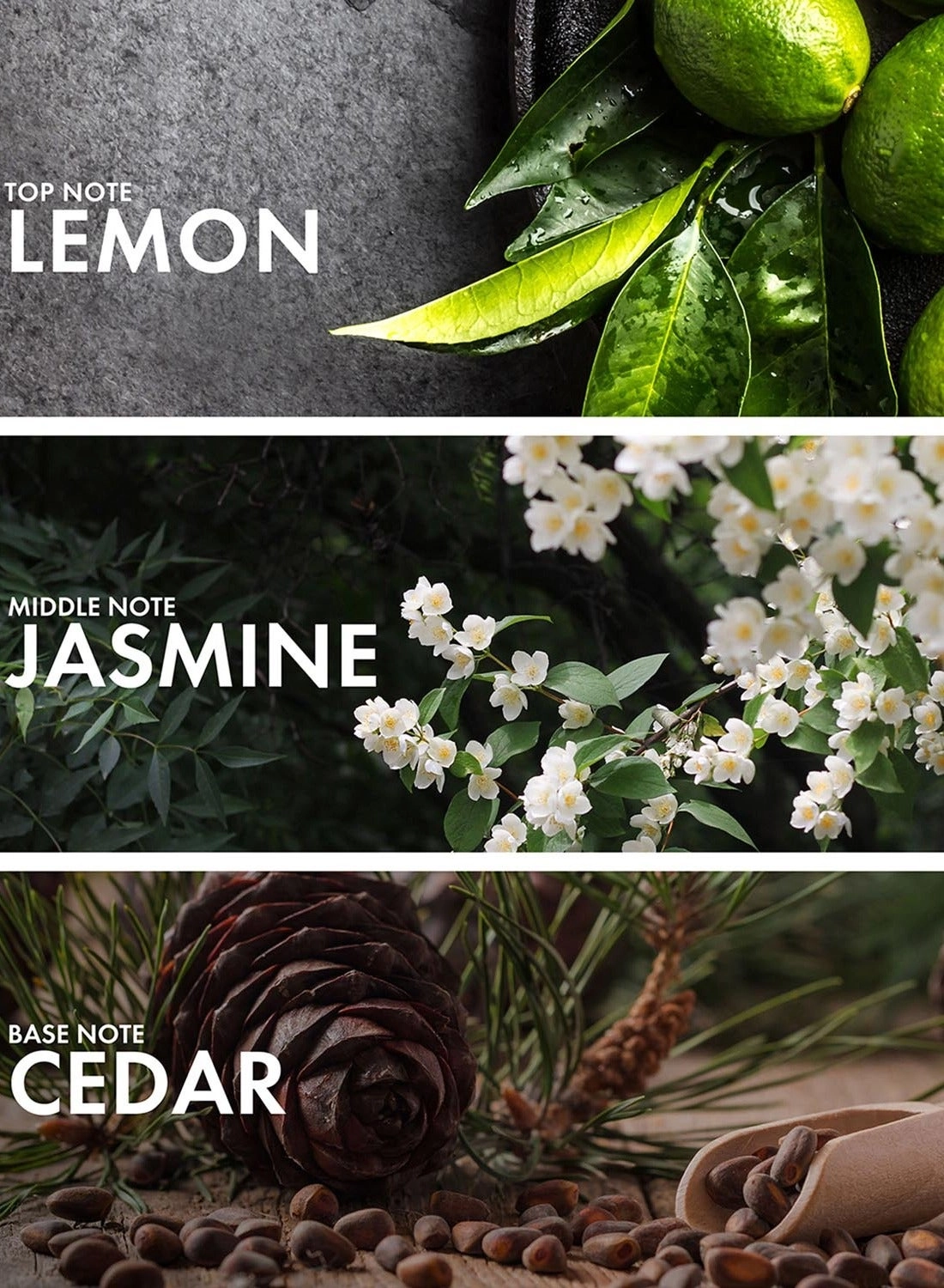 Orange Black Tea - Eau de Parfum 50 ml