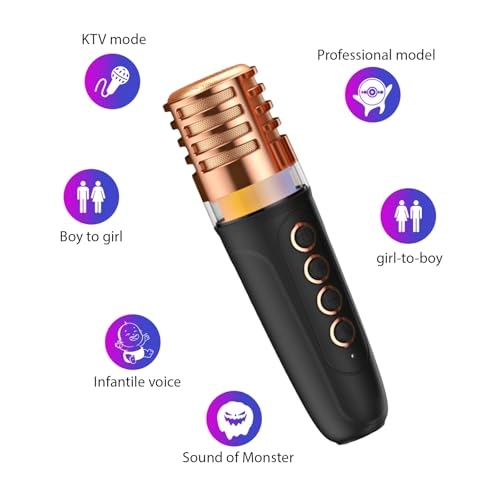 Karaoke Machine - 2 15W