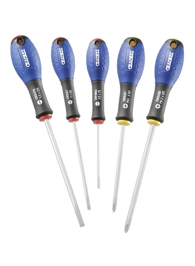 Expert Electricians Screwdriver Set (5 Pcs)