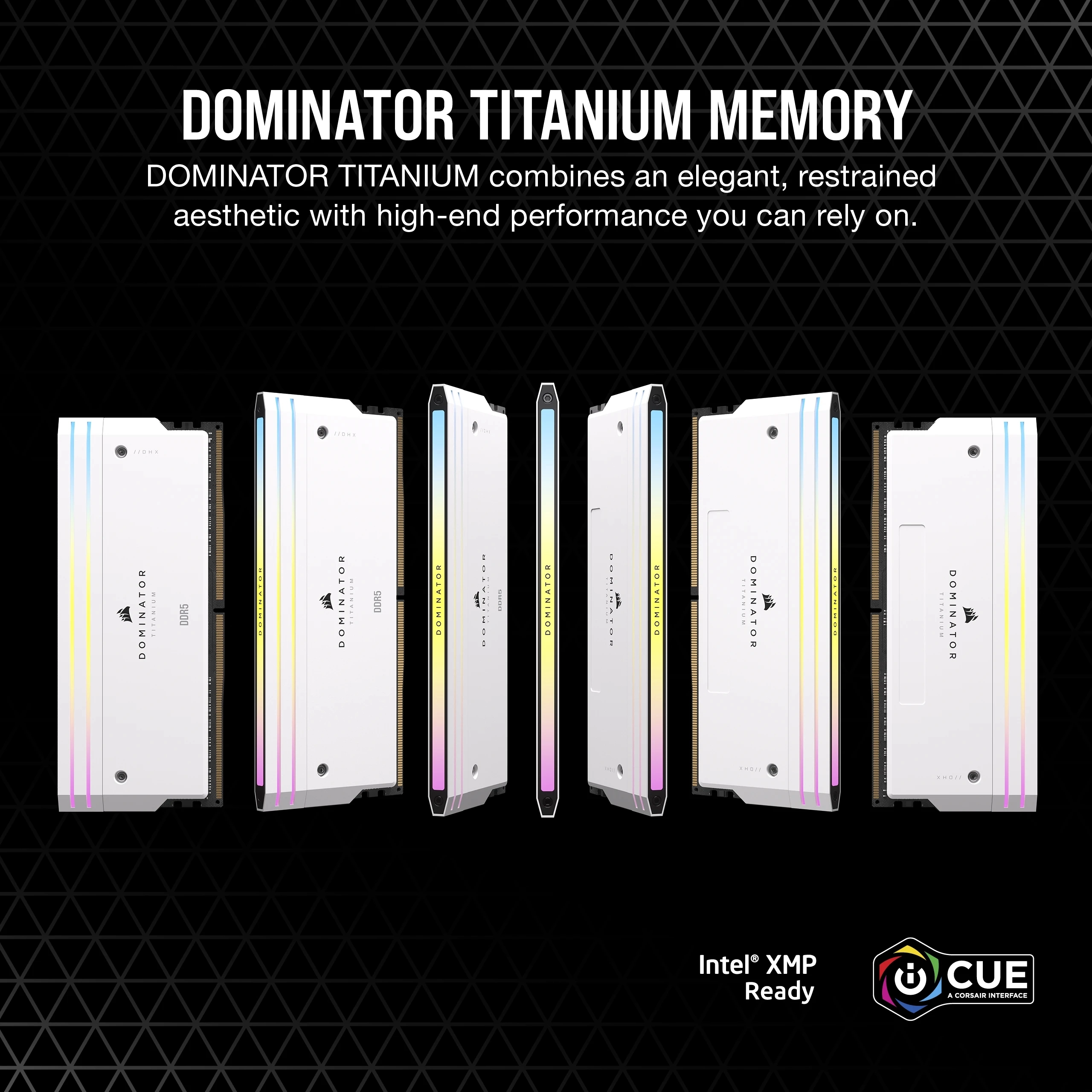 Dominator Titanium RGB - 64 GB 6600 MHz Desktop DDR5