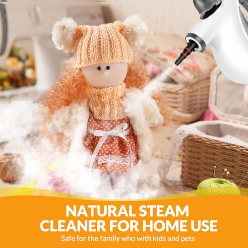 Steam Cleaner - 350 Milliliters