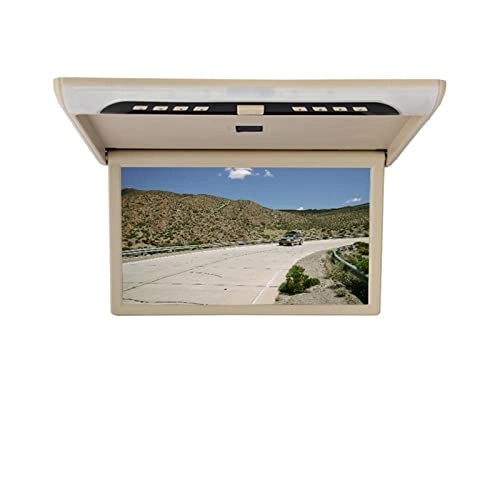 Car Ceiling Display - 19 Inch
