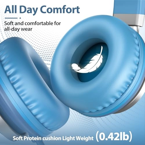 BH118AU Wired Headphone