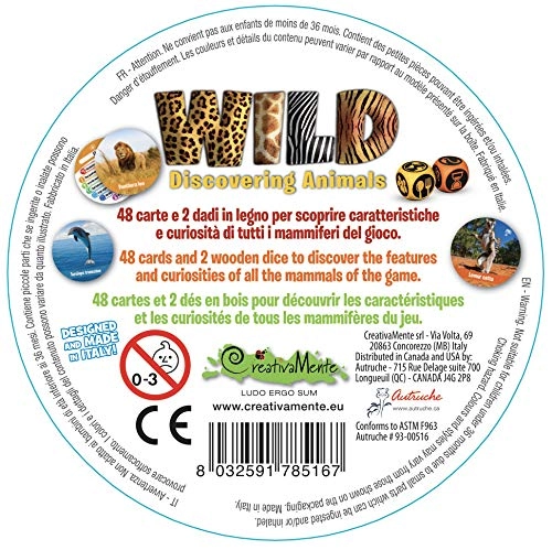 Wild-Box Game - 5 years and up