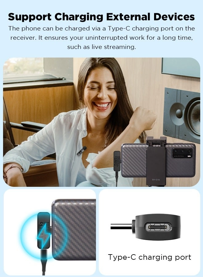 BY-V20 Wireless+USB Microphone