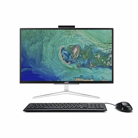 Aspire C 22 All-in-One Desktop DQ.BBSEM.008