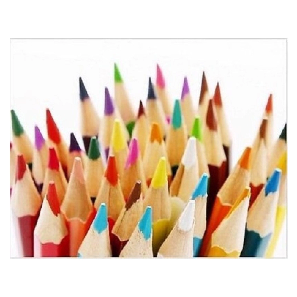 Fish Round Tin Water Colour Pencil - 36pcs