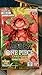 ONE Piece Card The Best - 10 pack