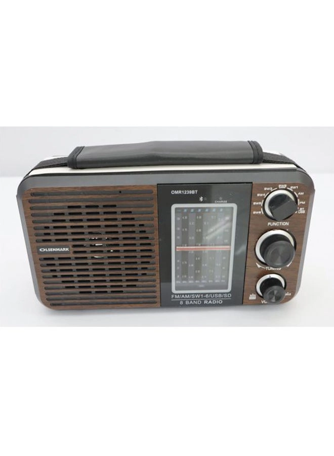 FM/AM/SW Radio & Music Player - Portable