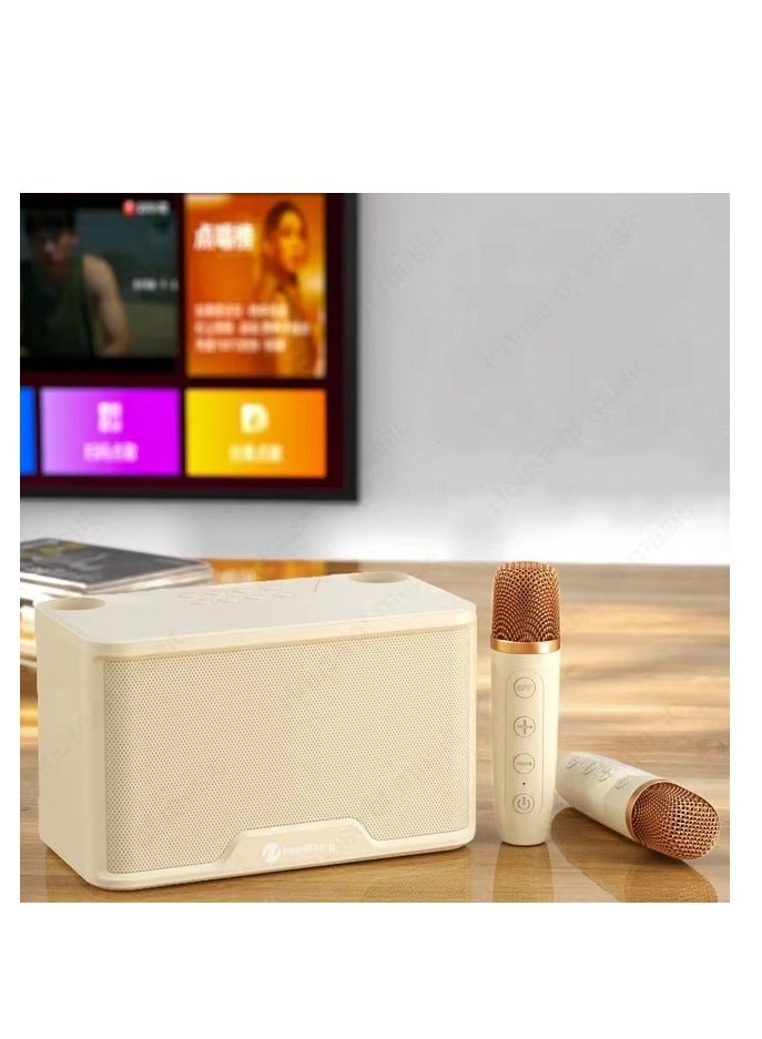 S25 - 2 Wireless Microphones