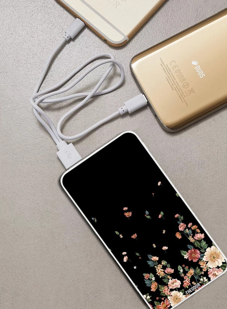 EX_PPBA182 - 10000 Watt-hour 18W PD