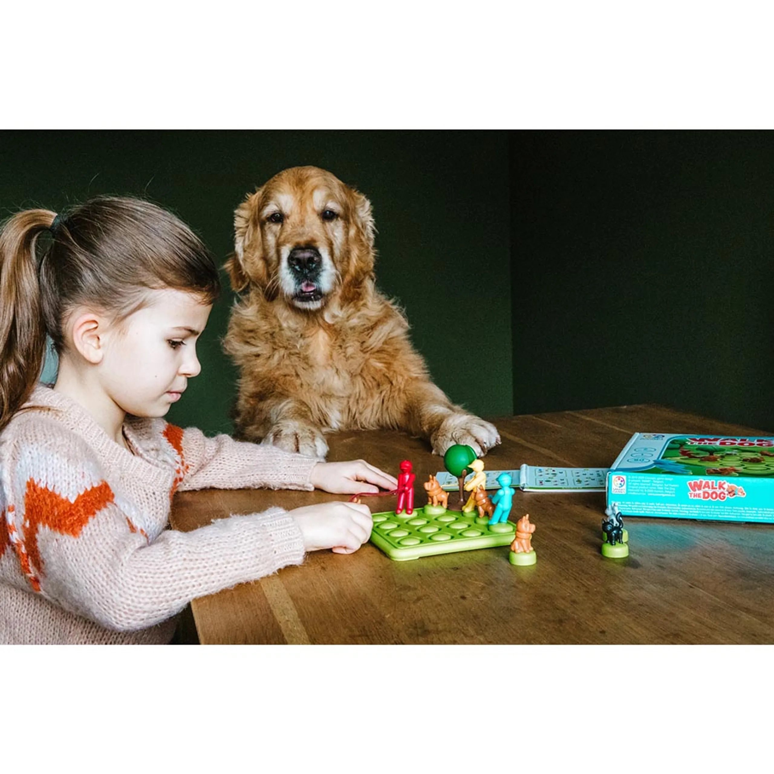 Walk The Dog Puzzle (Klg-SG427)