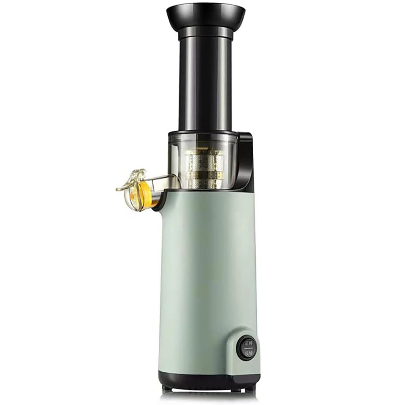 masticating juicer - 120W