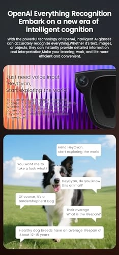 AI Smart Glasses - Real Time Translation Electrochromic lenses 320mAh battery