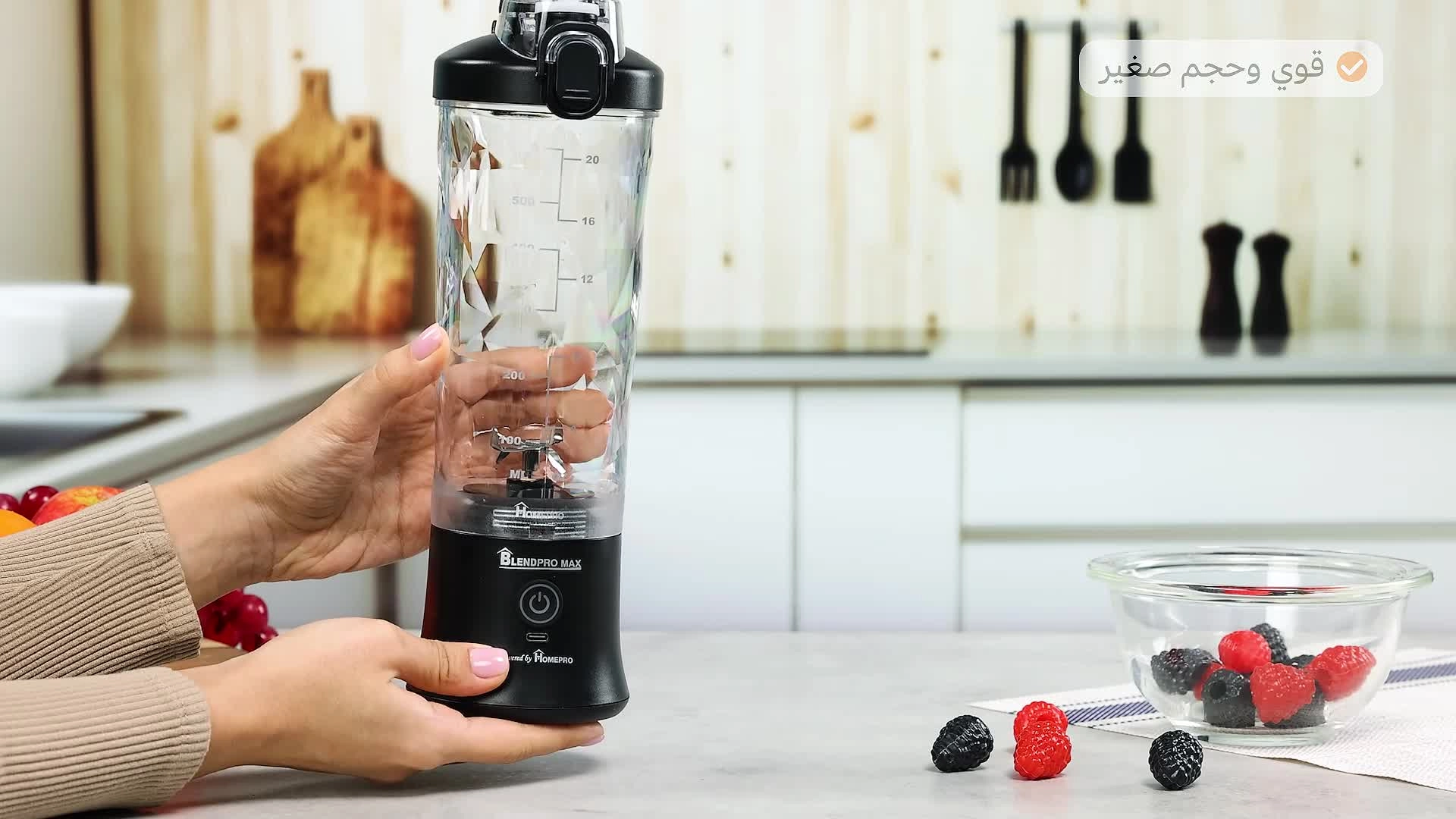 BLENDPRO - Max 6 Blades Portable