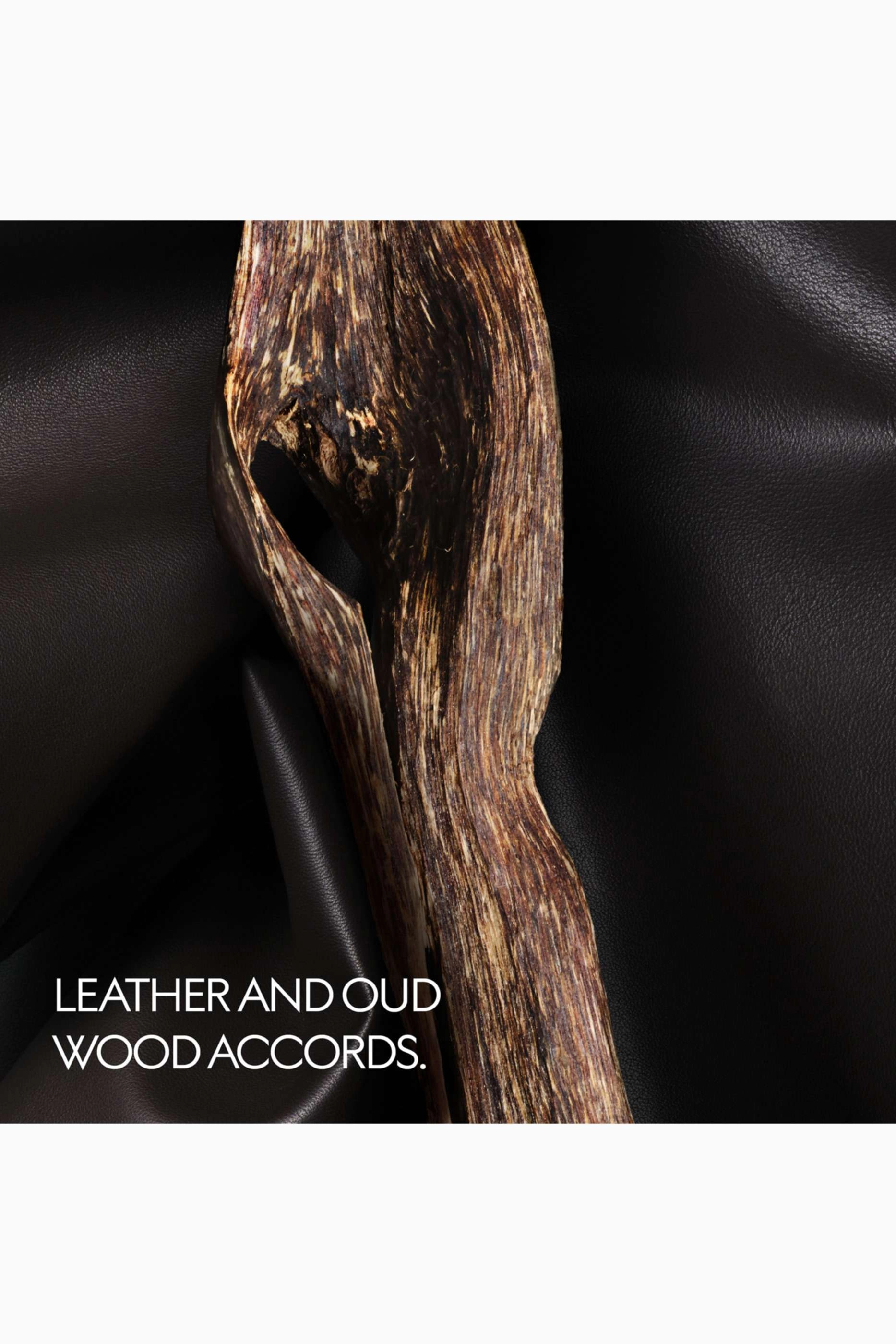 The Voice Of The Snake Eau de Parfum - 50ml