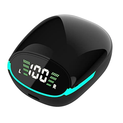 BT5.3 Wireless Earbud