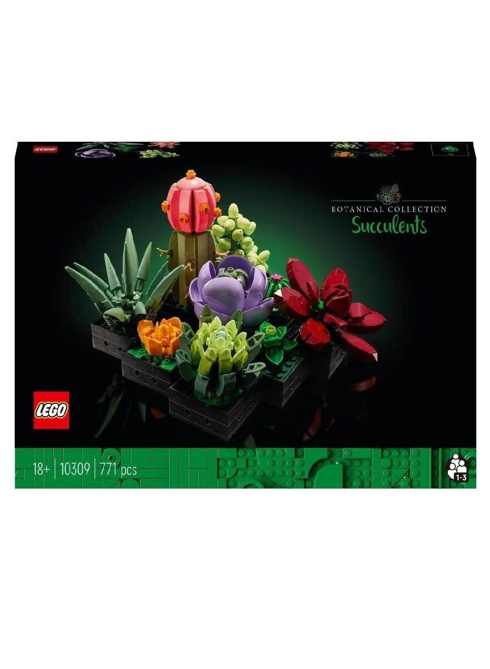 Succulents (10309) - Flowers