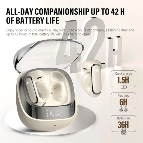 BS01 Wireless Earbud