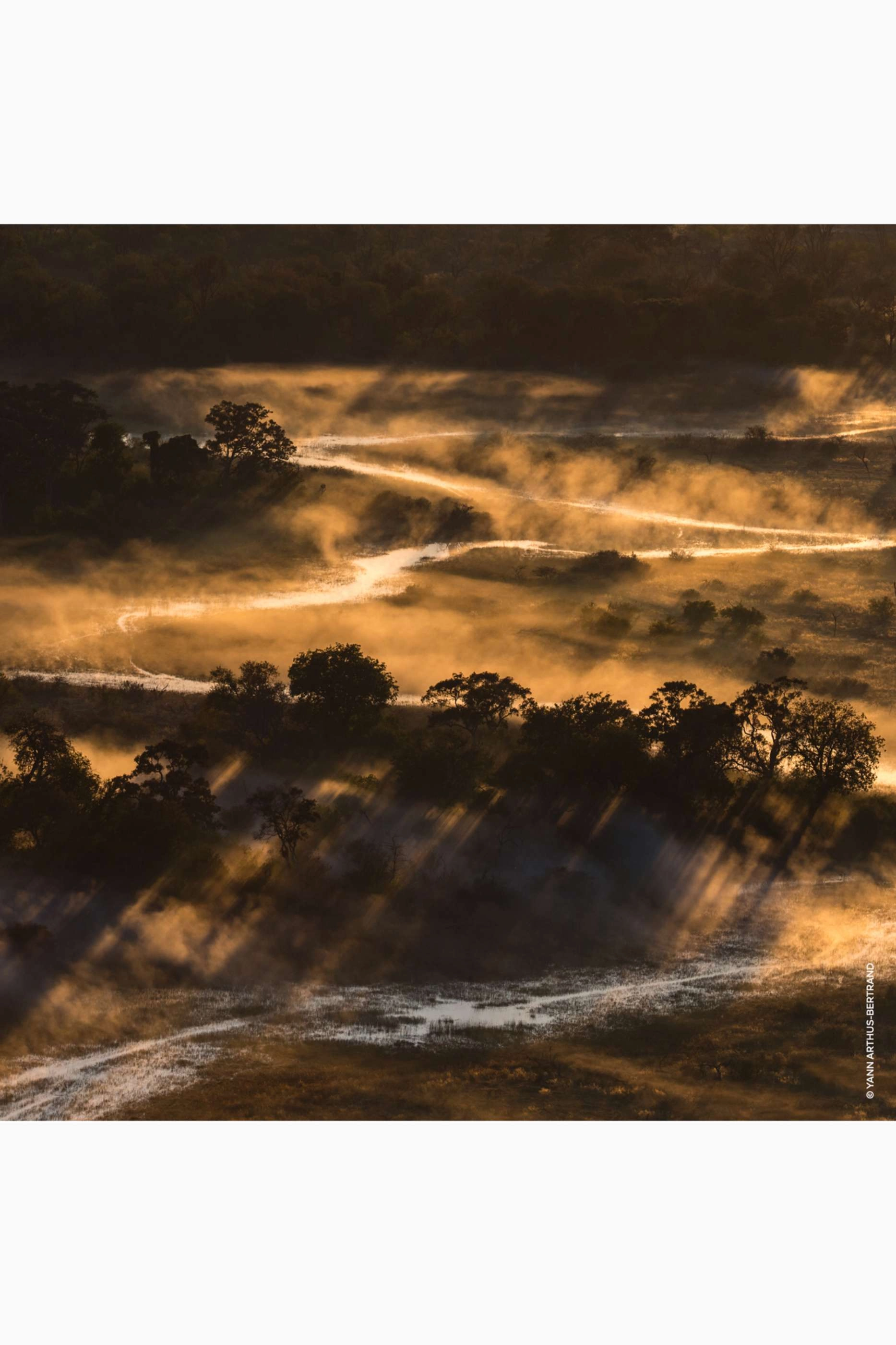 Aqua Allegoria Forte Bosca Vanilla Eau de Parfum 125 ml