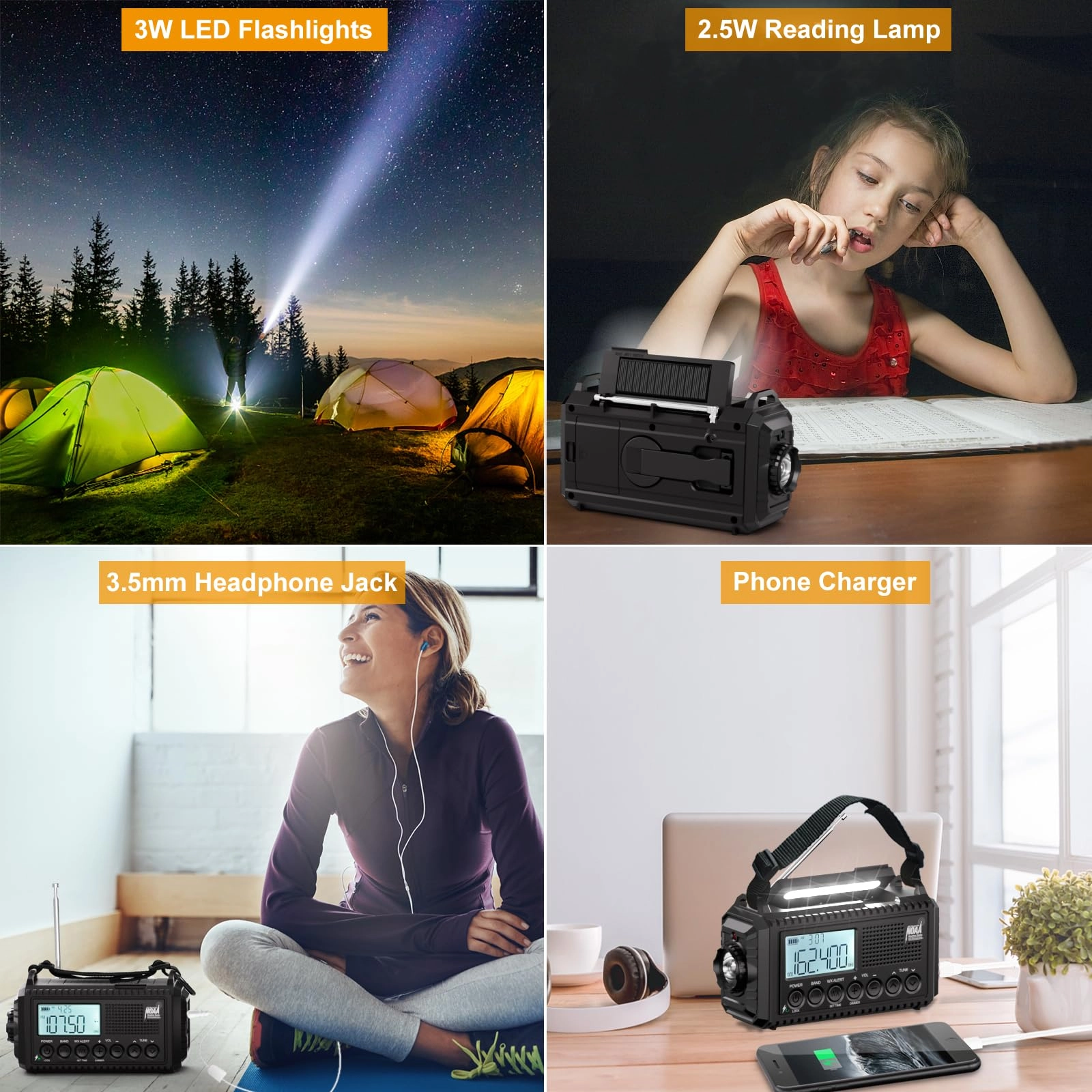 CR1009Pro - Portable radio