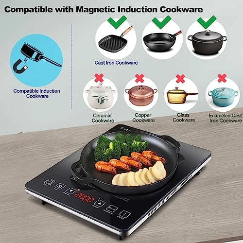 CB16 Induction hob