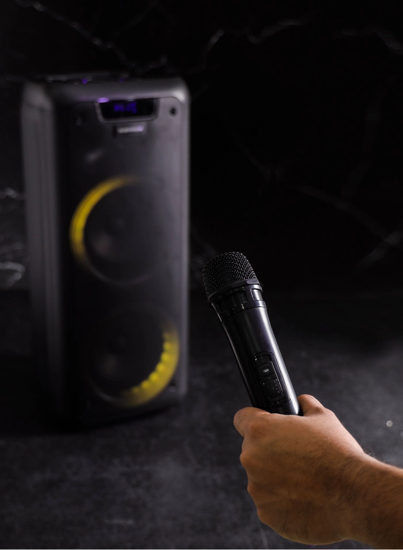 Rechargeable Party Speaker - 30 Watts RMS