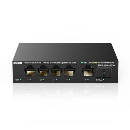 SW5-25G-MG 5-ports