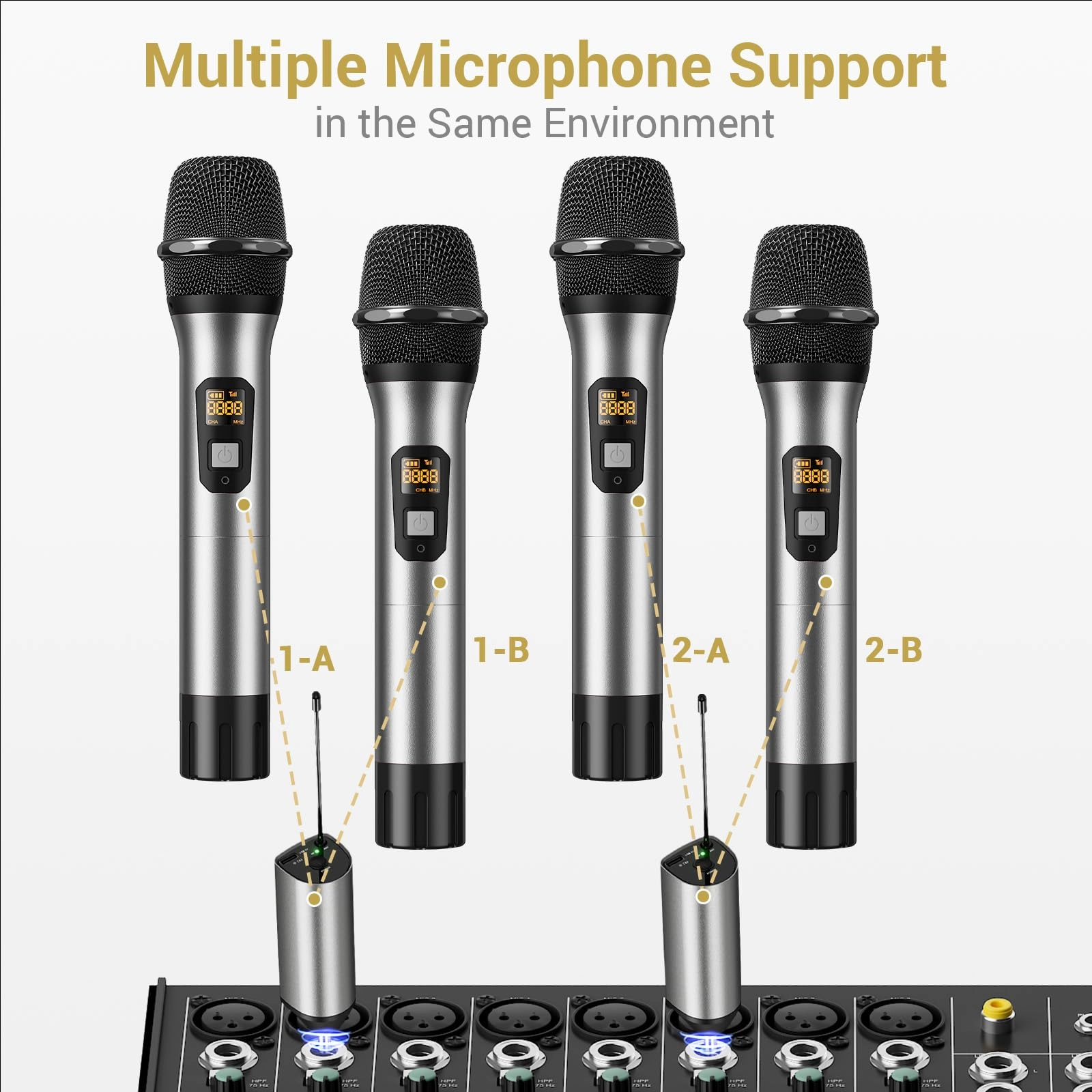 TW630 - 2Mics