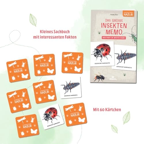 Das große Insekten Memo: Wer findet die meisten Paare? (English, German)