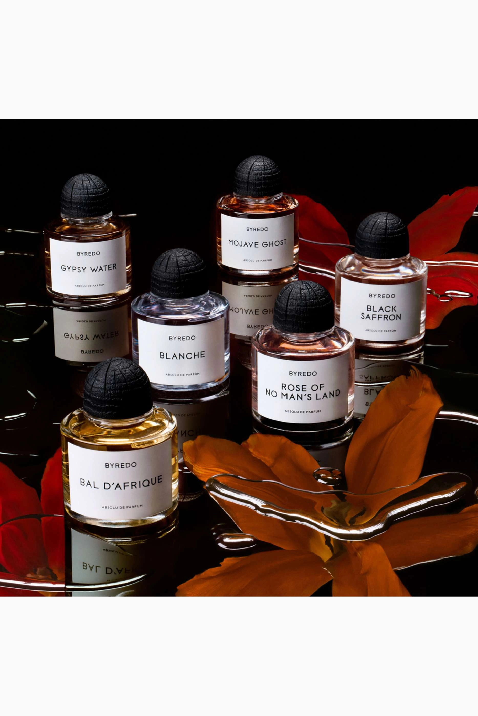 Black Saffron Absolu de Parfum - 50ml