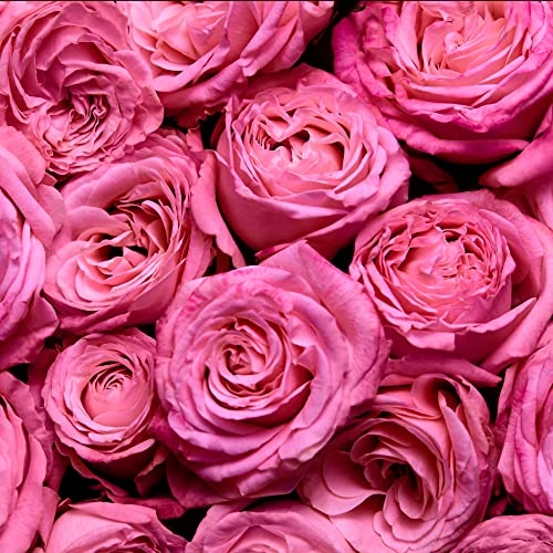 Magnetism - Eau de Parfum 50 ml