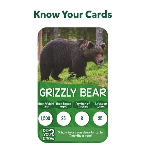 Rank & Roll: Animals - Card & Board Game