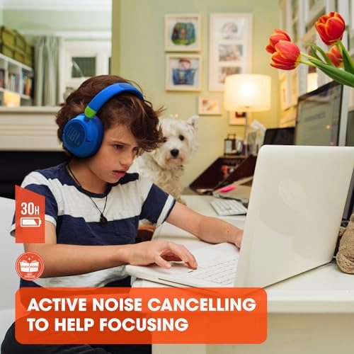 JR460NC Wireless Headphone