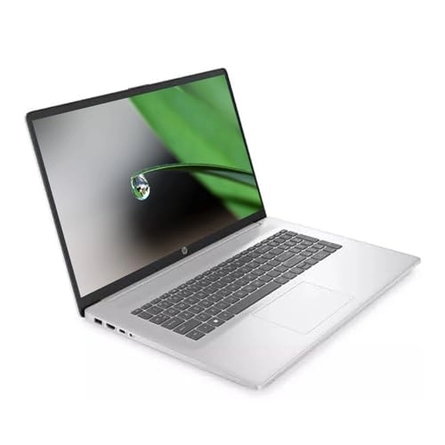 17 - 17.3'' Pentium Silver N5030 32GB 1000GB