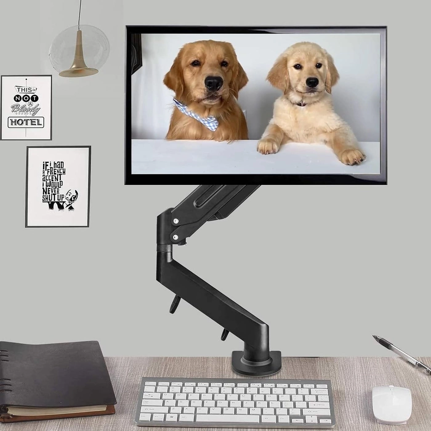 Gas Spring Monitor Mount - 17 to 32-inch