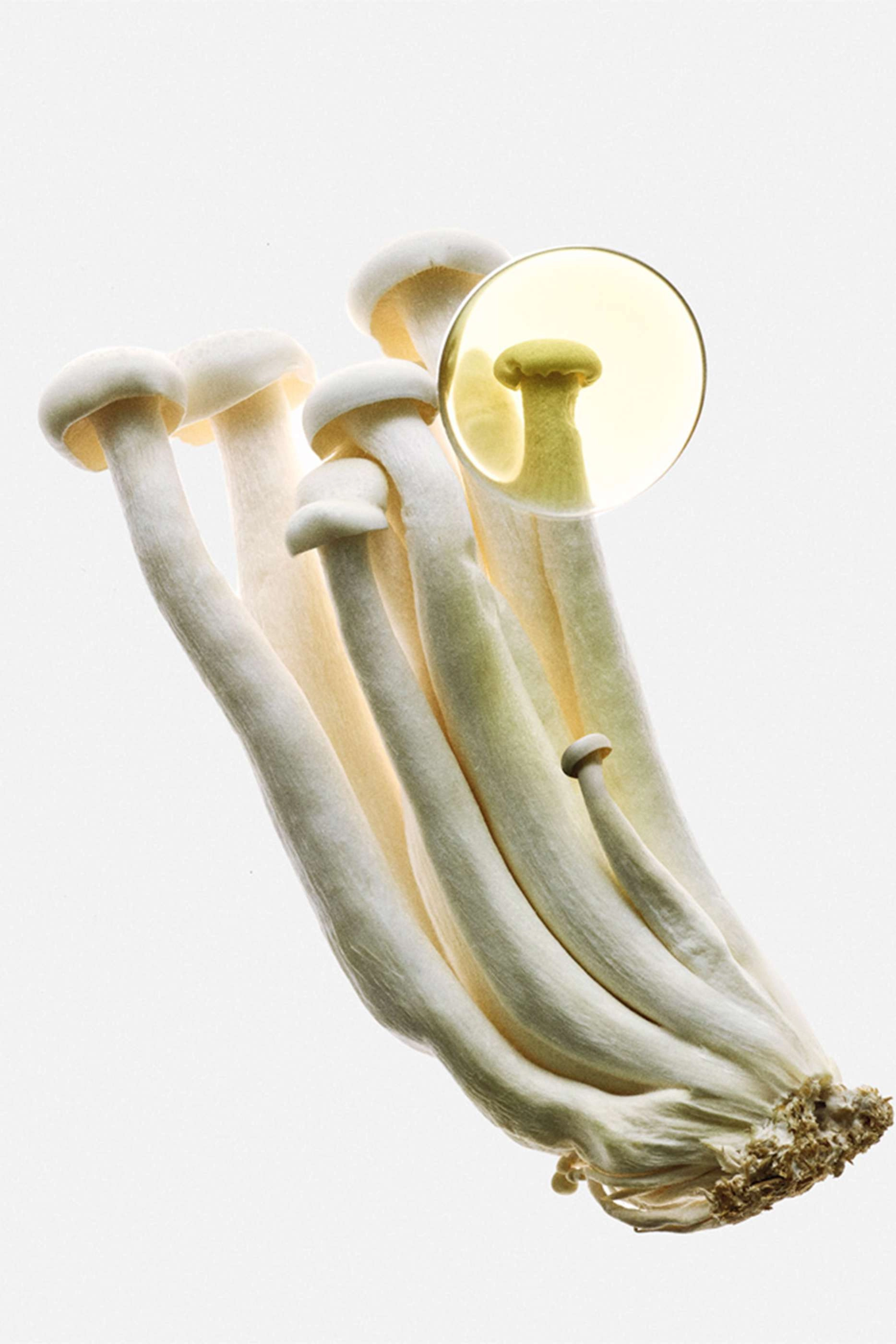 Earth Elixir Eau de Parfum 100ml