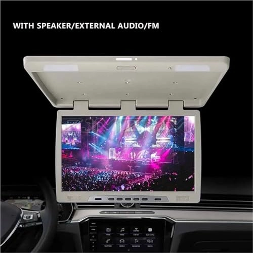 Roofmount LCD Monitor - 19in