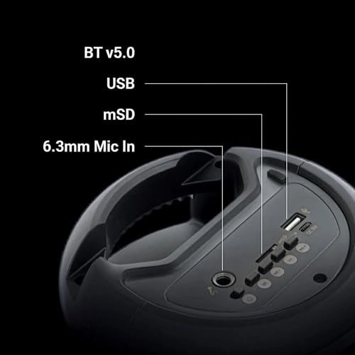 SOUND FEAST - 8W RMS