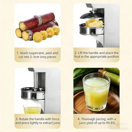 Manual Juicer Machine - Hand Press Detachable Design