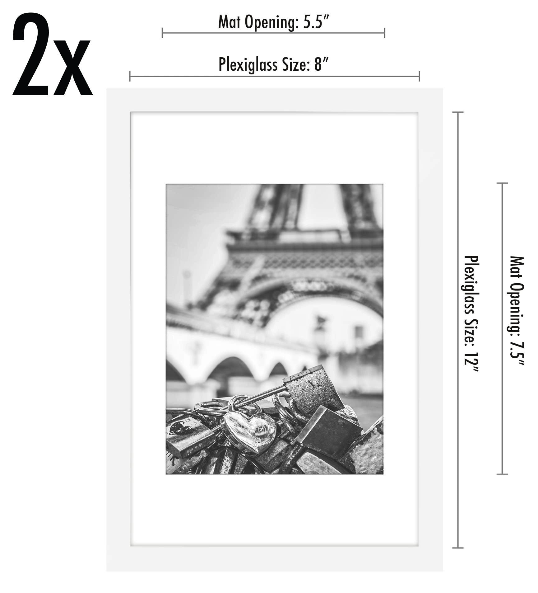 Picture Frame - 8x12 1