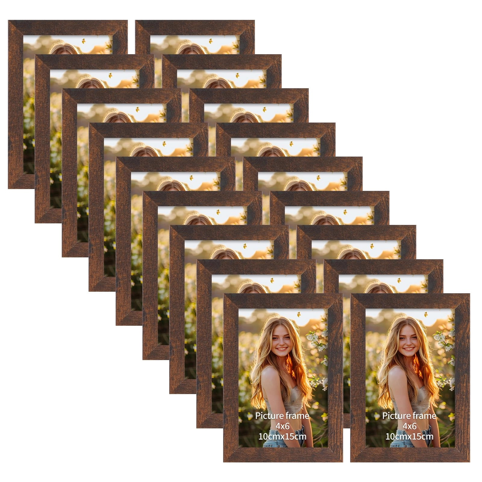 PETAFLOP Picture Frame - 4x6 Pack