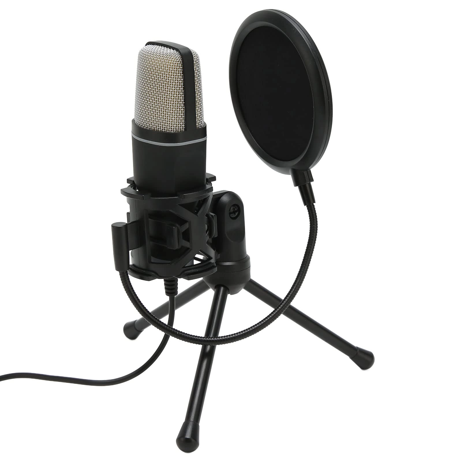 Bewinner g0fi3czeu6 USB Microphone