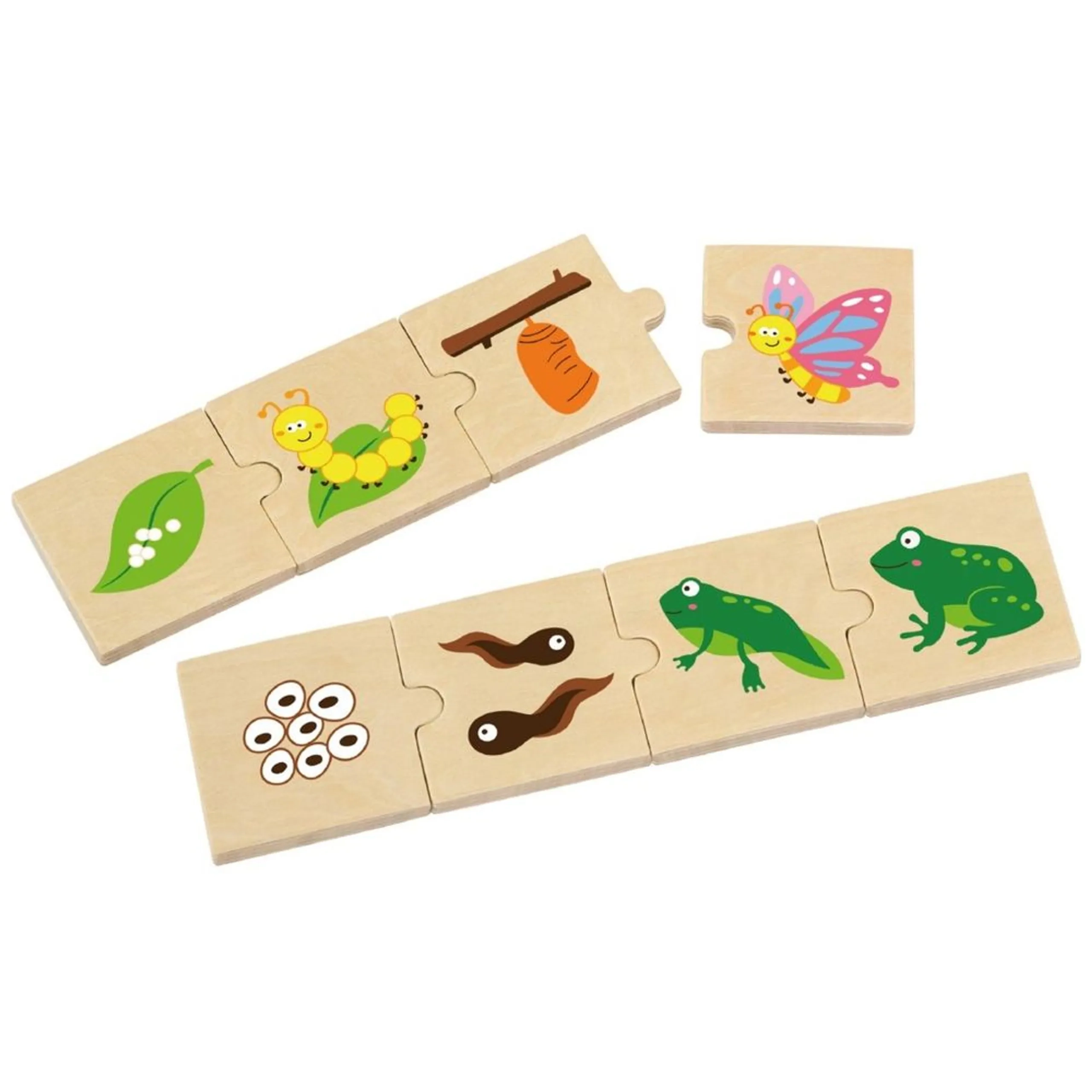 Growing Puzzle (SW-51609)