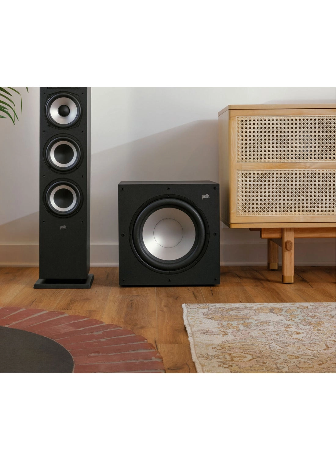 Monitor XT12 - 100 Watt 12"